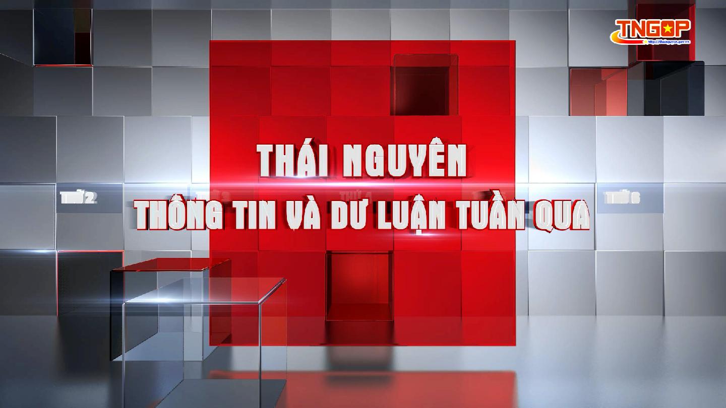 Số 113 - Ngày 12/5/2025